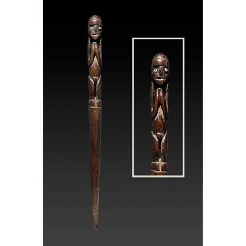 Solomon Island Lime Stick NEW INFO